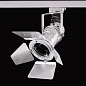 PAR-30 N Прожектор на потолочном основании   -  Накладные светильники 